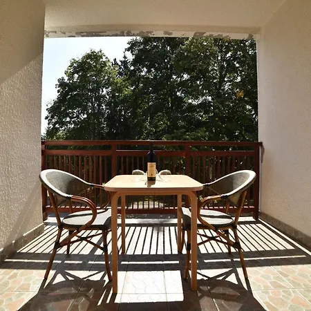 Sunce *